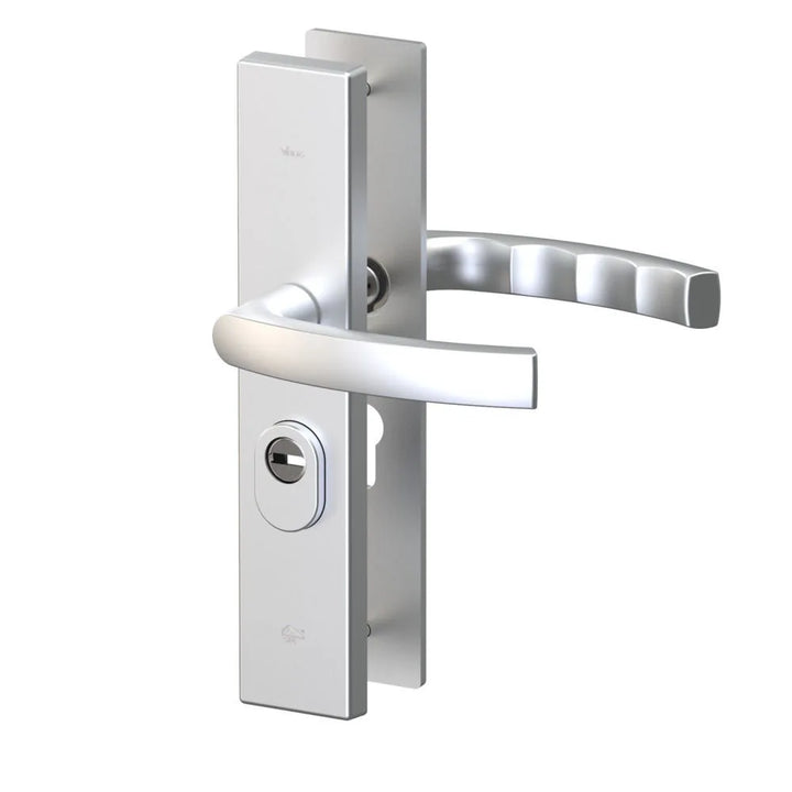 Veilig Veiligheidsbeslag 2200/2300 50 mm SKG*** kerntrekbeveiliging